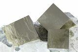 Spectacular Natural Pyrite Cube Cluster in Rock - Navajun, Spain #361779-2